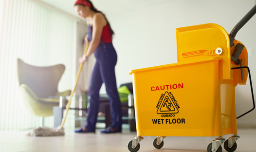 This image shows a woman mopping the floor.