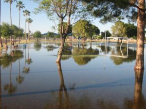 This image shows the neighborhood of Meyer Park in Tempe Arizona
